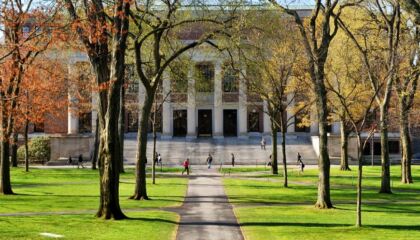 From using less paper to saving electricity, here are some ways you can be more eco-friendly.