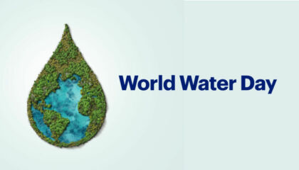 From watering our yards to doing the dishes, we all rely on water for different daily activities.