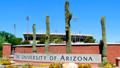 Nine students researched, analyzed and strategized new approaches for Best Buy.